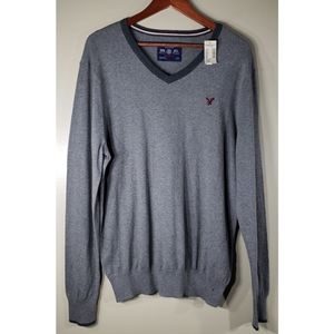 NWT American Eagle V Neck Preppy Sweater L